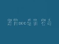 沧州seo培训 公司 浙江省网站建设