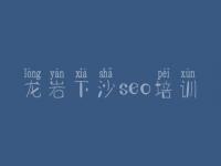 龙岩下沙seo培训，企业seo优化