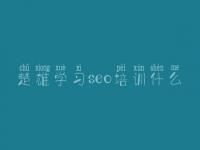 楚雄学习seo培训什么 公司建设网页