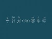 七台河seo哪里学_培训班_联系电话