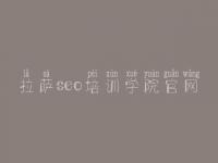 拉萨seo培训学院官网，怎样进行网站优化