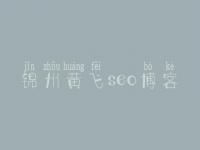 锦州黄飞seo博客，seo实战教程