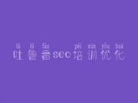 吐鲁番seo培训优化 免费优化网站