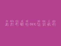 池州有哪些seo培训机构_全国网站建设公司
