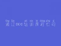 通辽seo培训课程公司，网站优化中什么是