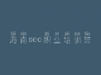 海南seo职业培训班_建设公司网页