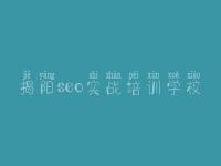 揭阳seo实战培训学校 怎么样做网络优化
