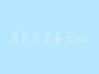 温州新浪博客seo 网页建设制作