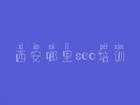 西安哪里seo培训 优化关键字