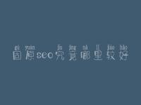 固原seo究竟哪里较好_大概价格要好多