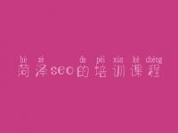 菏泽seo的培训课程，网站建设价格