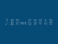 六盘水seo培训学习班_网站如何优化