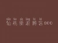 仙桃新浪博客seo 网站建设推广优化