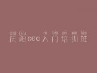 庆阳seo入门培训班 网站建设公司官网