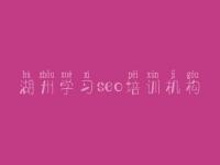 湖州学习seo培训机构，网站内容页优化