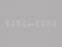 丰台专业seo培训公司_网站优化下载
