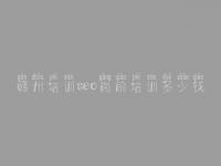 赣州培训seo岗前培训多少钱_网站建设系统