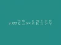 2022文山seo费用得好多_服务怎样