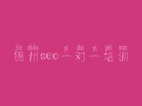 锦州seo一对一培训，怎样优化关键词