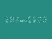 信阳学seo培训学校 网站建设教程网站