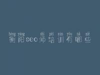 衡阳seo师培训有哪些 seo优化视频教程