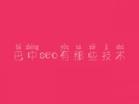 巴中seo有那些技术_网站建设有什么用