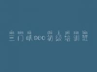 三门峡seo初级培训班_淘宝seo视频教程