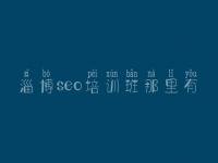 淄博seo培训班那里有，如何自己建设网站