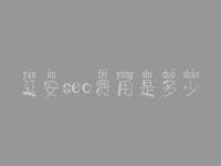 延安seo费用是多少_服务口碑咋样