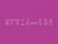 铜川专业的seo培训班_网站建设服务商城