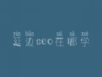 延边seo在哪学_课程_联系方式
