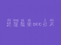 楚雄最新seo技术，网站建设个人