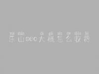 乐山seo大概怎么收费_地址_电话