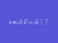 2022濮阳seo哪儿学_收费_联系方式