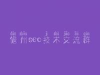 儋州seo技术交流群 中小企业网站建设
