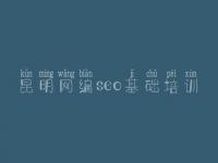 昆明网编seo基础培训_网站建设工程