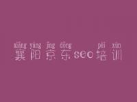 襄阳京东seo培训_网络优化网站