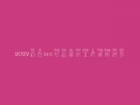 2022百色seo总监薪水工资通常好多