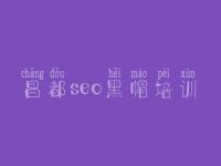 昌都seo黑帽培训_高级黑帽实战