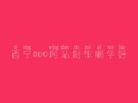 西宁seo网站制作哪学好，域名年龄对seo的影响
