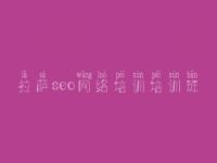 拉萨seo网络培训培训班，seo新手教程