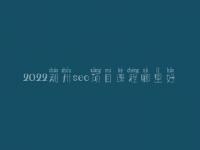 2022潮州seo项目课程哪里好
