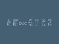 资阳seo培训云南 企业网站如何建设
