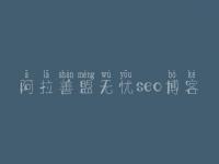 阿拉善盟无忧seo博客 网站优化做什么