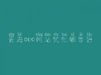 青海seo网站优化哪家好，seo有前景没