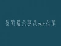 梅州最系统的seo培训_建设网页企业