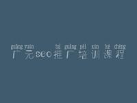 广元seo推广培训课程，seo实例教程