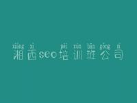 湘西seo培训班公司 免费的网站建设