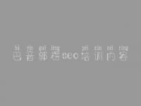 巴音郭楞seo培训内容_网站建站建设