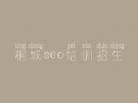 桐城seo培训招生_优化网站如何管理